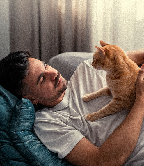 lipidosis hepática en gatos diagnóstico